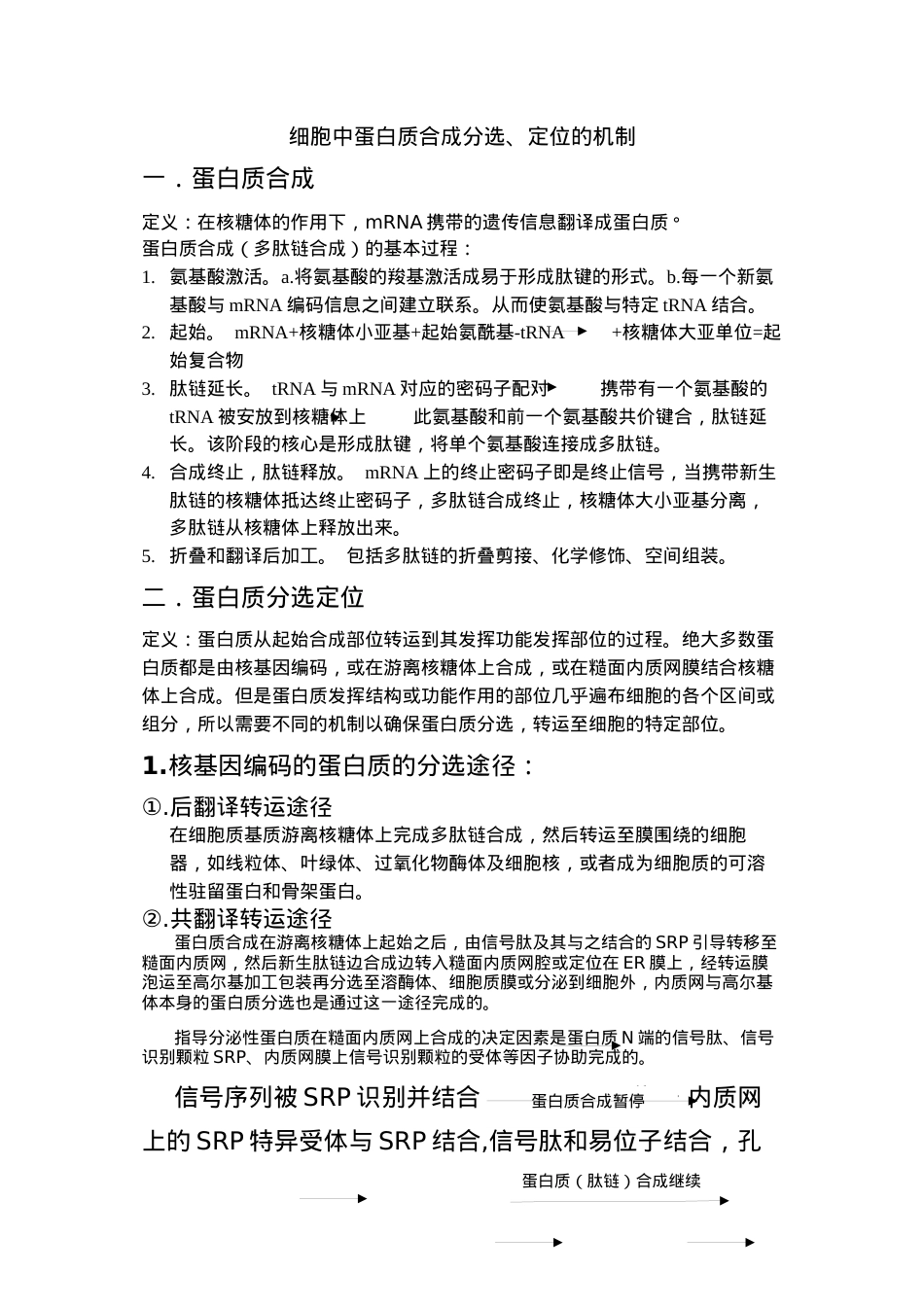 蛋白质合成分选定位.docx_第1页