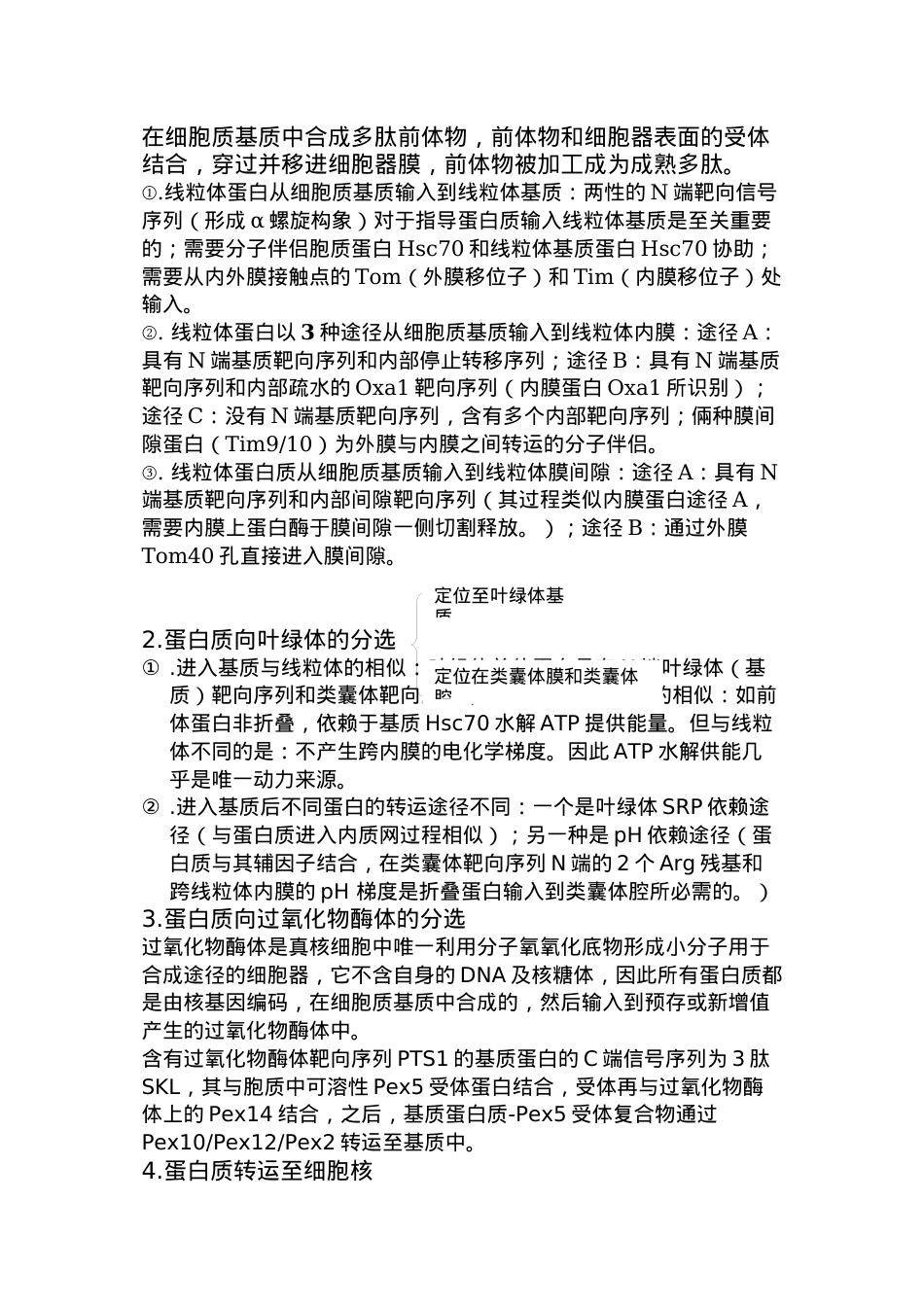 蛋白质合成分选定位.docx_第3页