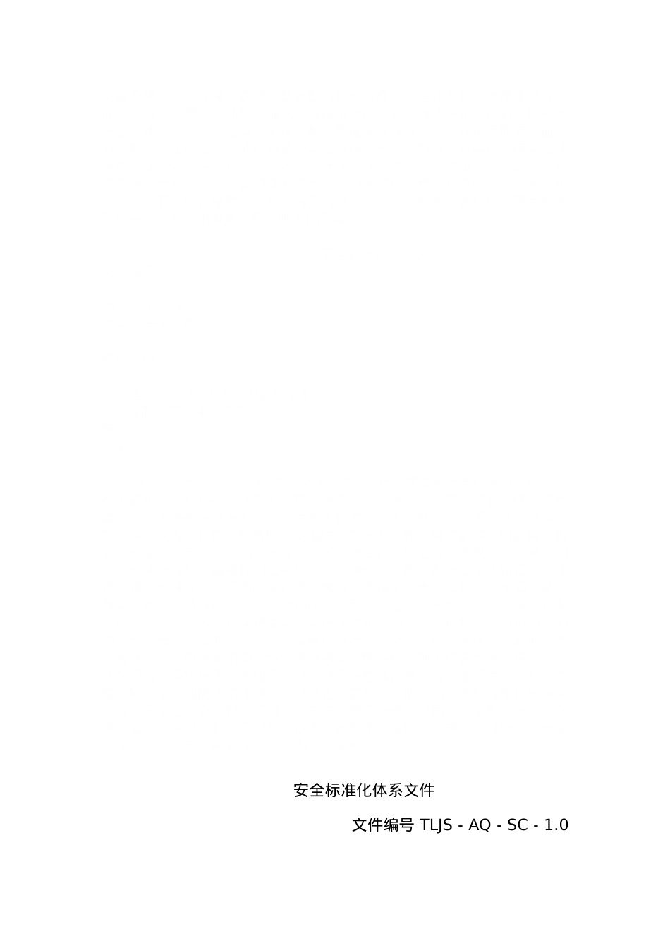 安全标准化体系文件(DOC51页).doc_第1页