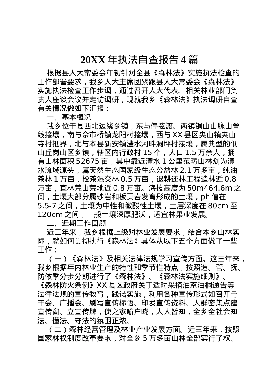 2022年年执法自查报告4篇  .doc_第1页