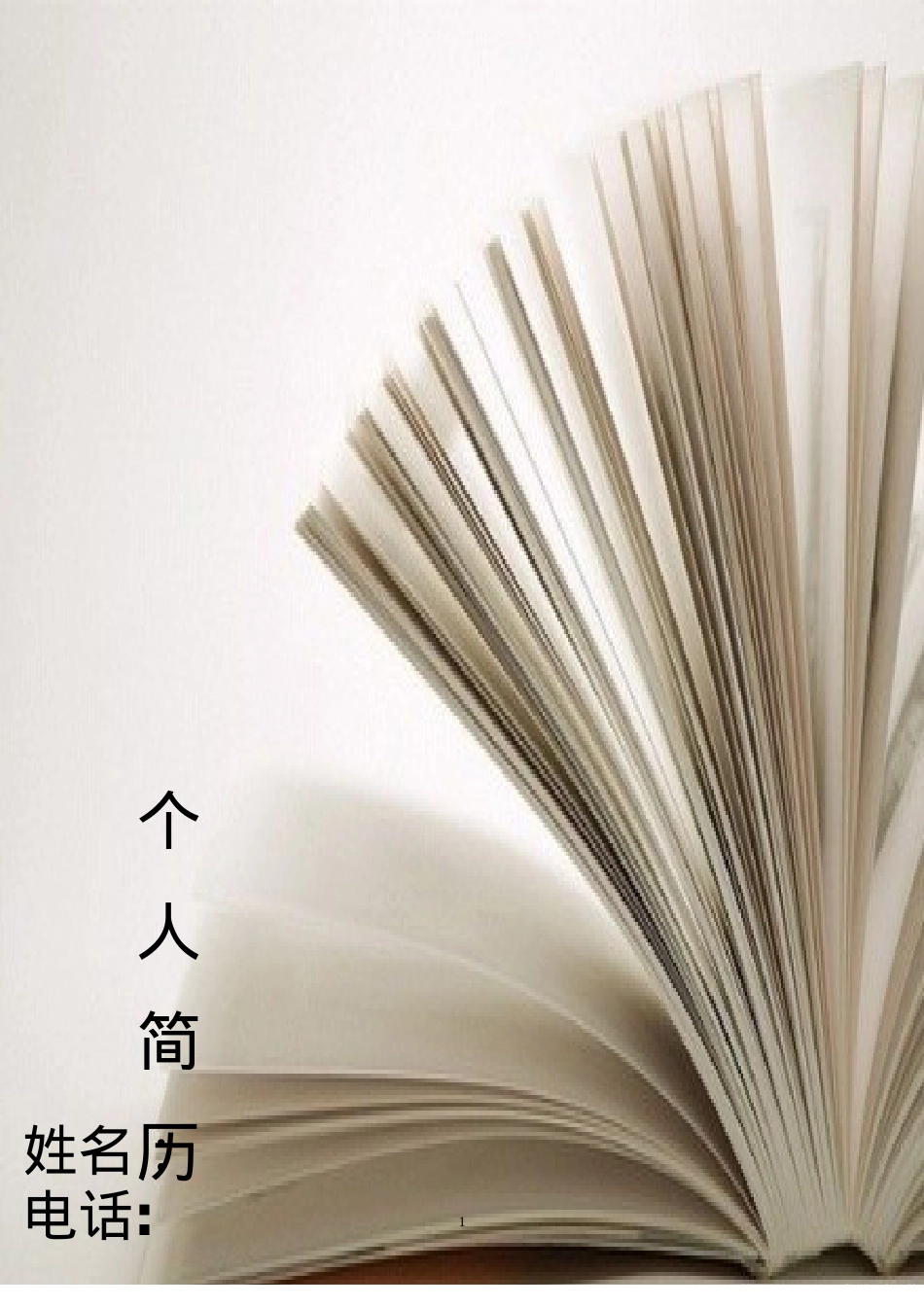 137.书香净白_表格式_适用于应届生_1页式_无内容_有封面.doc_第1页