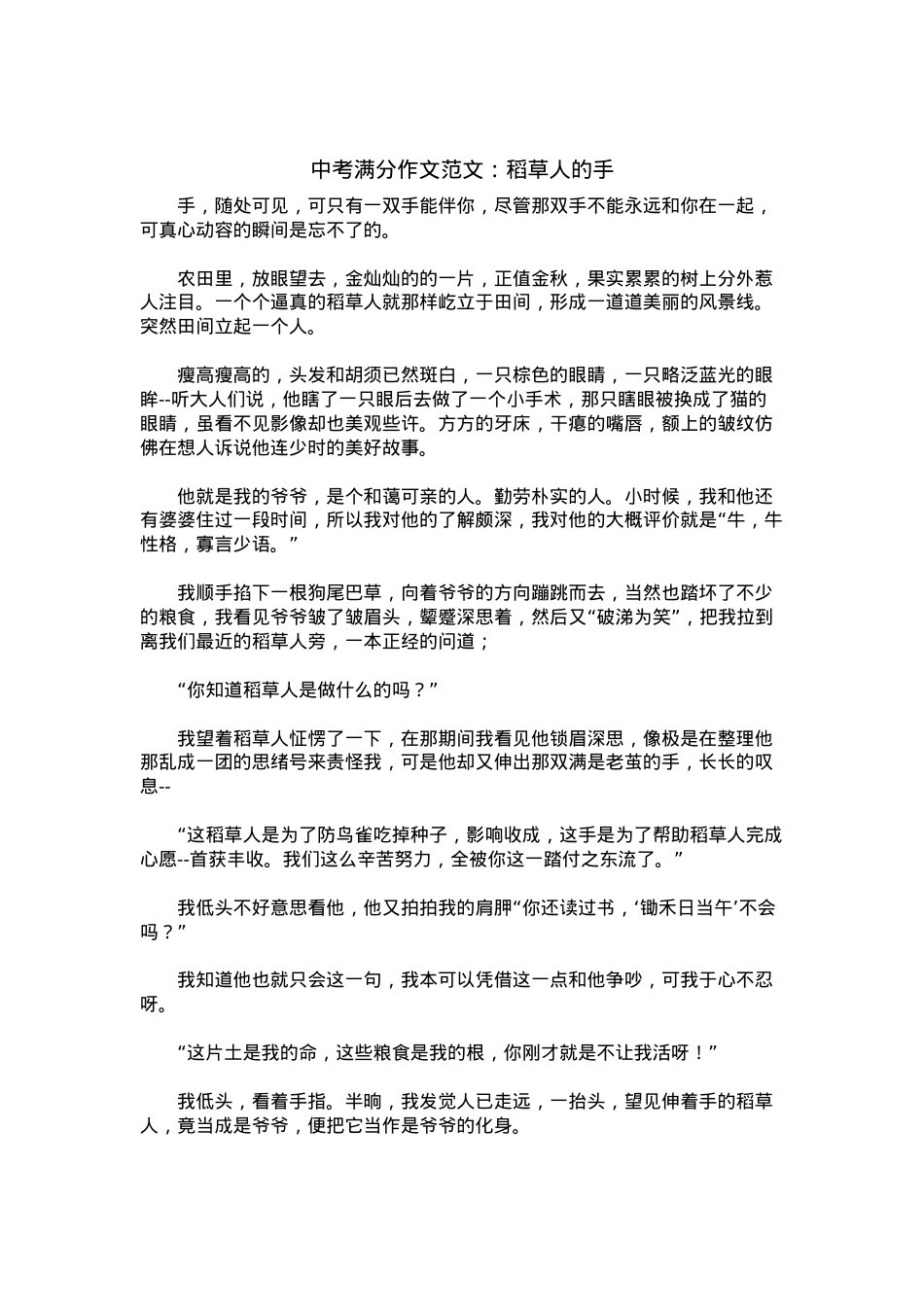 中考优秀满分作文：稻草人的手.docx_第1页