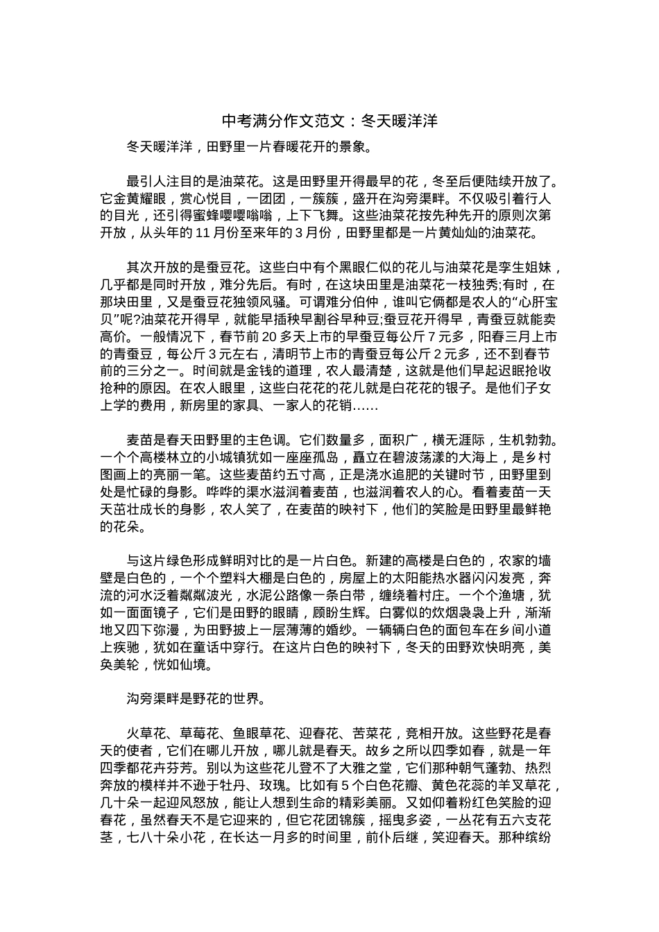 中考优秀满分作文：冬天暖洋洋.docx_第1页