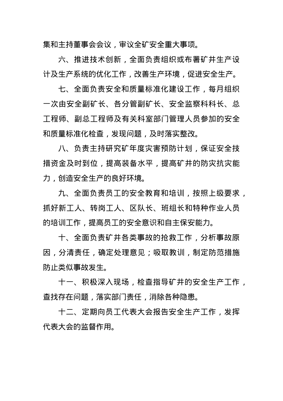 X年各职能安全质量标准化工作岗位责任制.docx_第2页