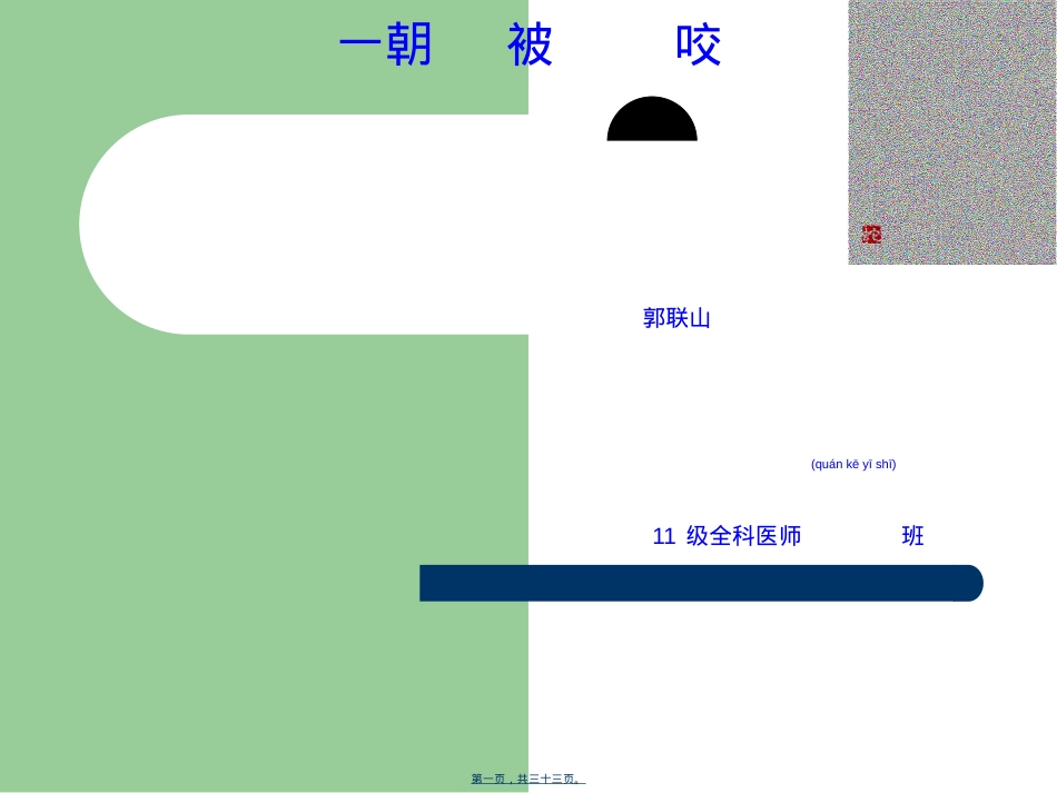 蛇咬伤防治.ppt（大秘书文库）_第1页