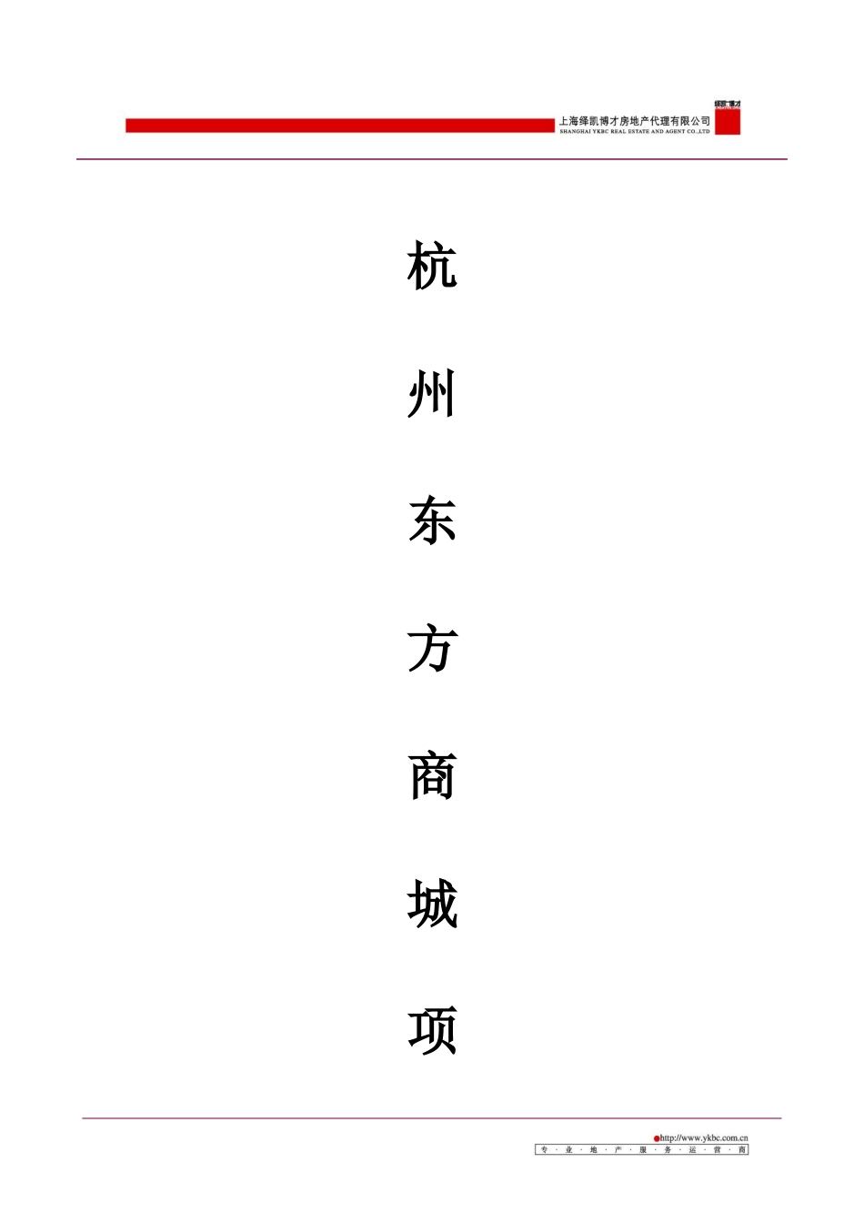 某商城项目定位报告.docx_第1页