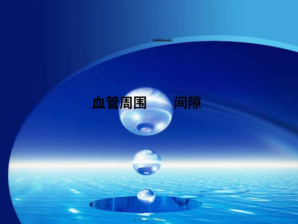 血管周围间隙.分解.ppt（大秘书文库）_第1页