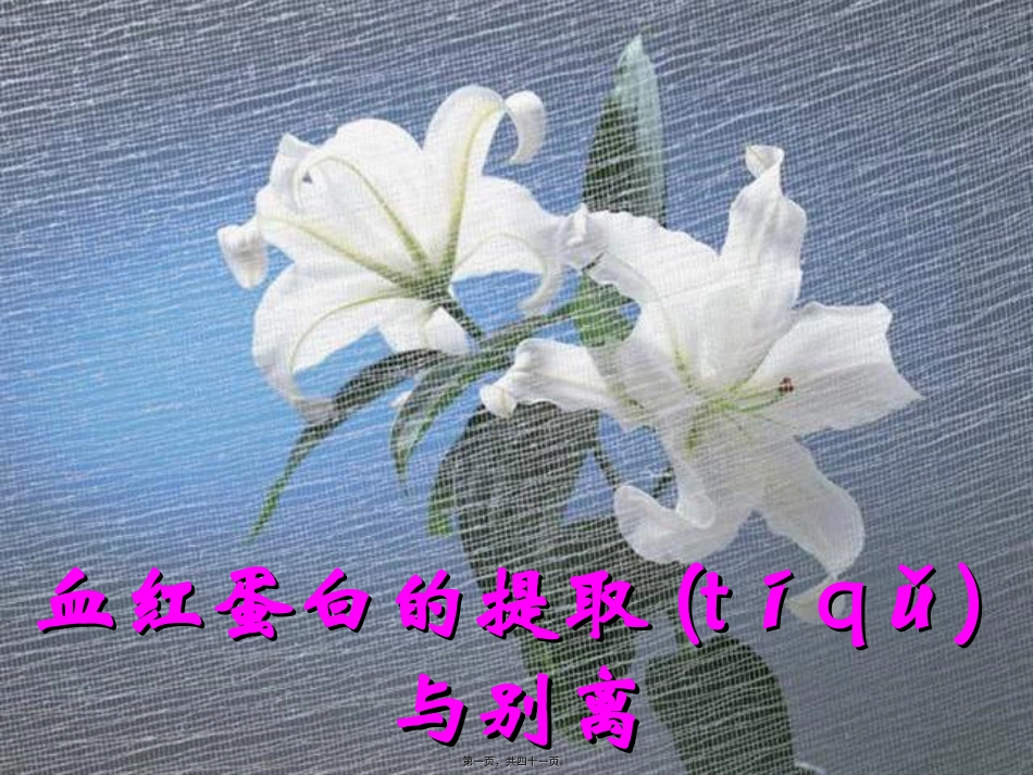 血红蛋白的提取和分离(优质课).ppt（大秘书文库）_第1页