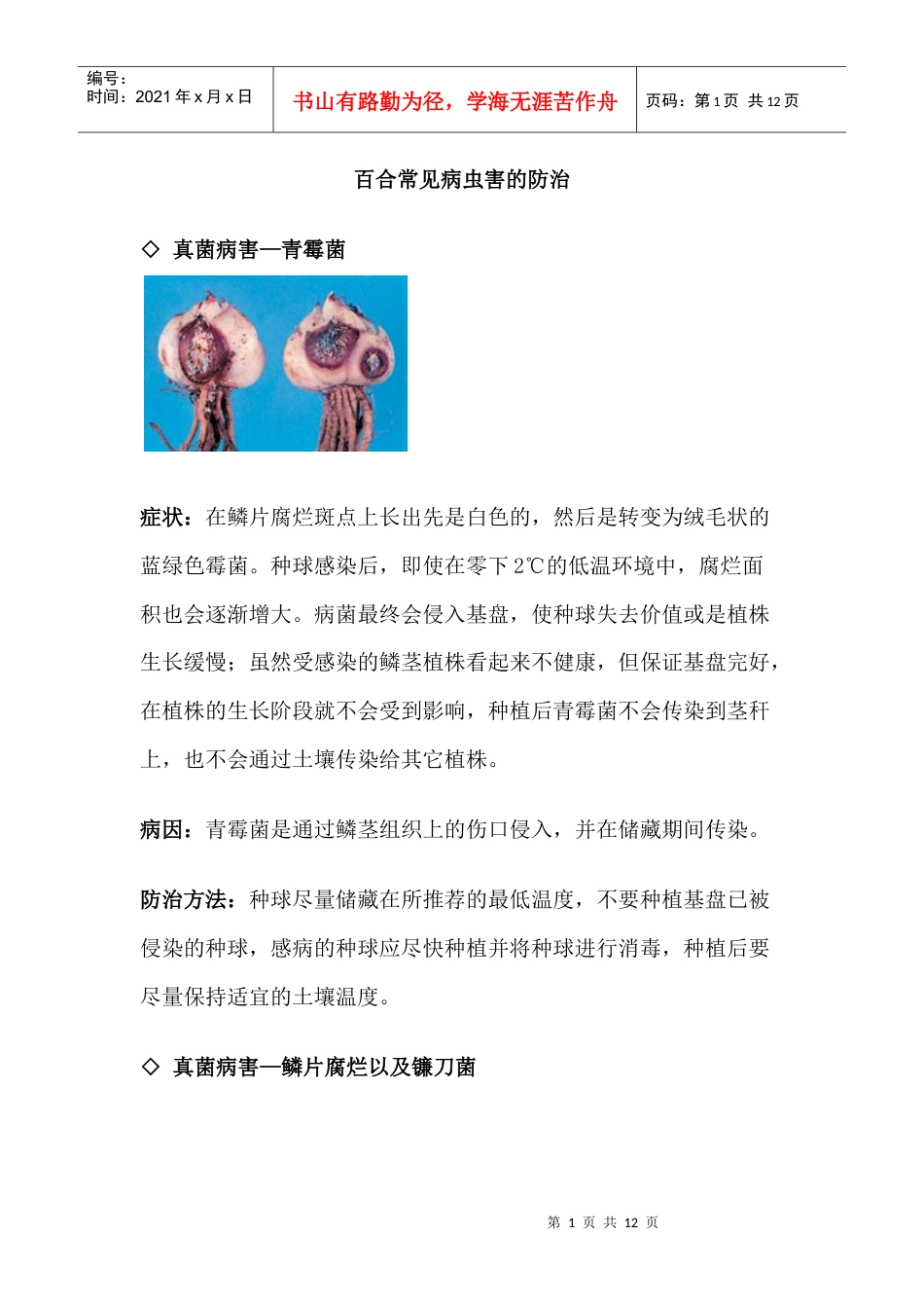 百合常见病虫害的防治知识.docx_第1页