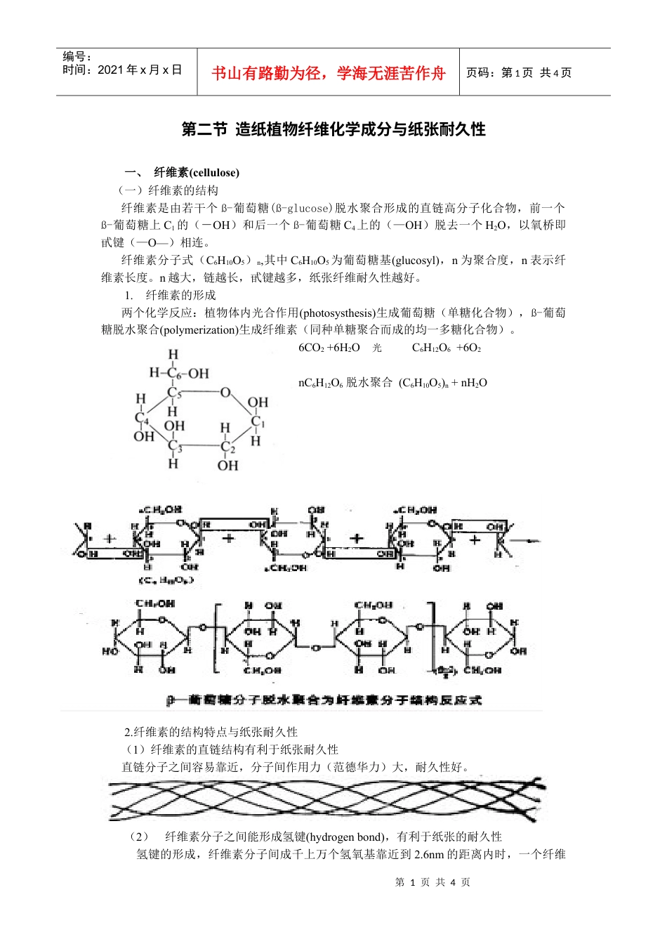 第二节造纸植物纤维化学成分与纸张耐久性.docx_第1页